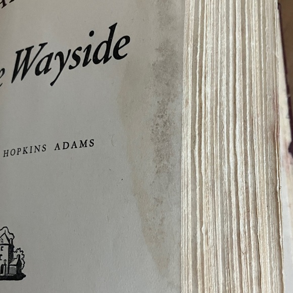 Samuel Hopkins Adam’s Banner by the Wayside 1st edition 1947 - Picture 15 of 16